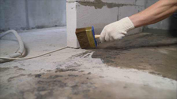 Top rated local Waterproofing specialists in Mechanicsville, VA